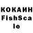 COCAIN Fish Scale Osman Nazarov