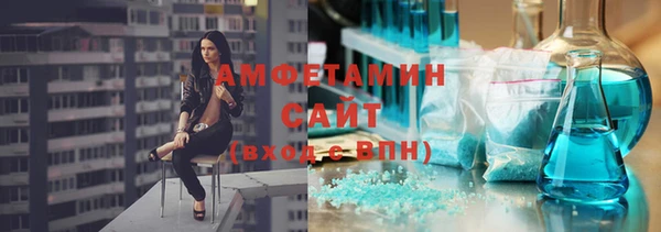 ГАЛЛЮЦИНОГЕННЫЕ ГРИБЫ Сясьстрой