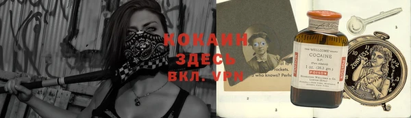 ГАЛЛЮЦИНОГЕННЫЕ ГРИБЫ Сясьстрой