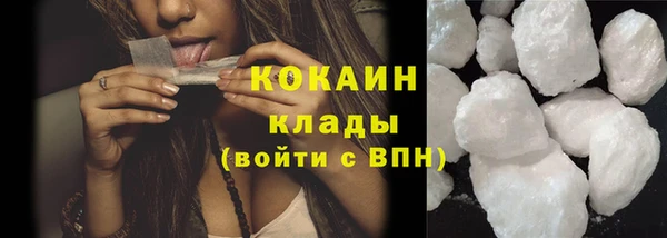 ешки Тайга