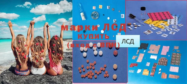 ГАЛЛЮЦИНОГЕННЫЕ ГРИБЫ Сясьстрой