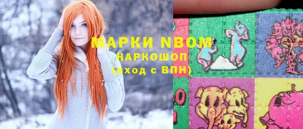 ешки Тайга