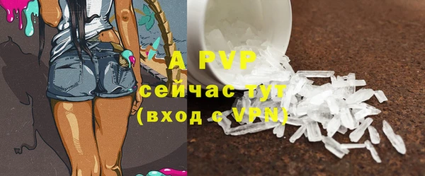 ГАЛЛЮЦИНОГЕННЫЕ ГРИБЫ Сясьстрой